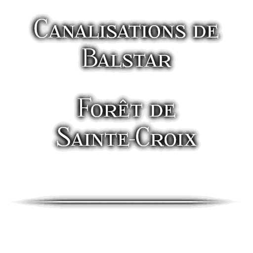 Traduite