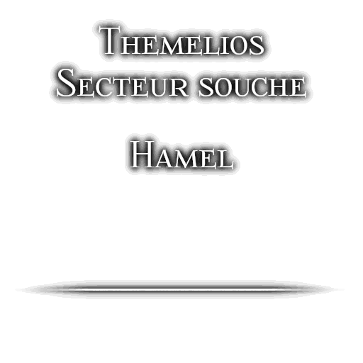 Traduite
